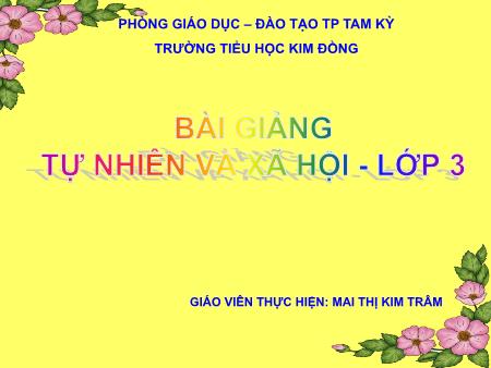 Bài giảng Tự nhiên và Xã hội Lớp 3 - Bài: Động vật - Mai Thị Kim Trâm