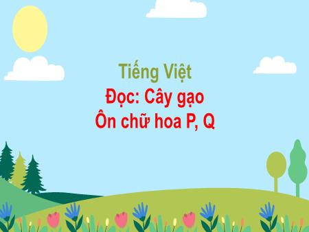 Bài giảng Tiếng Việt 3 (Đọc) Sách Kết nối tri thức - Bài: Cây gạo. Ôn chữ hoa P, Q