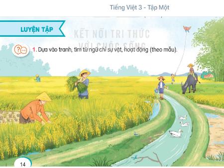Bài giảng Tiếng Việt 3 (Kết nối tri thức) - Bài: Từ ngữ chỉ sự vạt, hoạt động