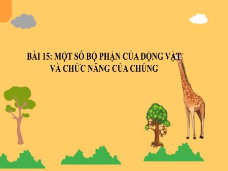 Bài giảng Tự nhiên xã hội 3 (Kết nối tri thức) - Bài 15: Một số bộ phận của động vật và chức năng của chúng (Tiết 1)