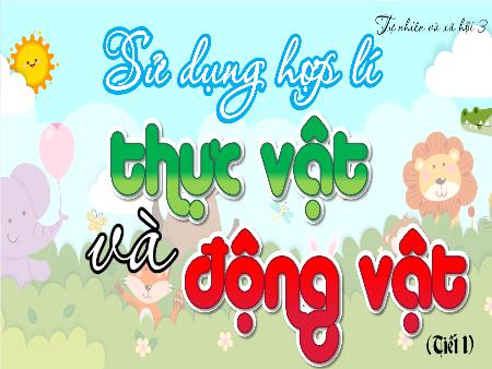 Bài giảng Tự nhiên xã hội 3 (Kết nối tri thức) - Bài 16: Sử dụng hợp lí thực vật và động vật (Tiết 1)