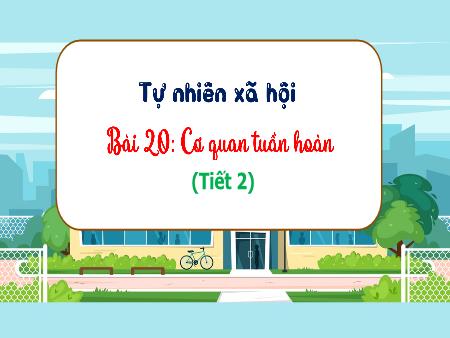 Bài giảng Tự nhiên xã hội 3 (Kết nối tri thức) - Bài 20: Cơ quan tuần hoàn (Tiết 2)